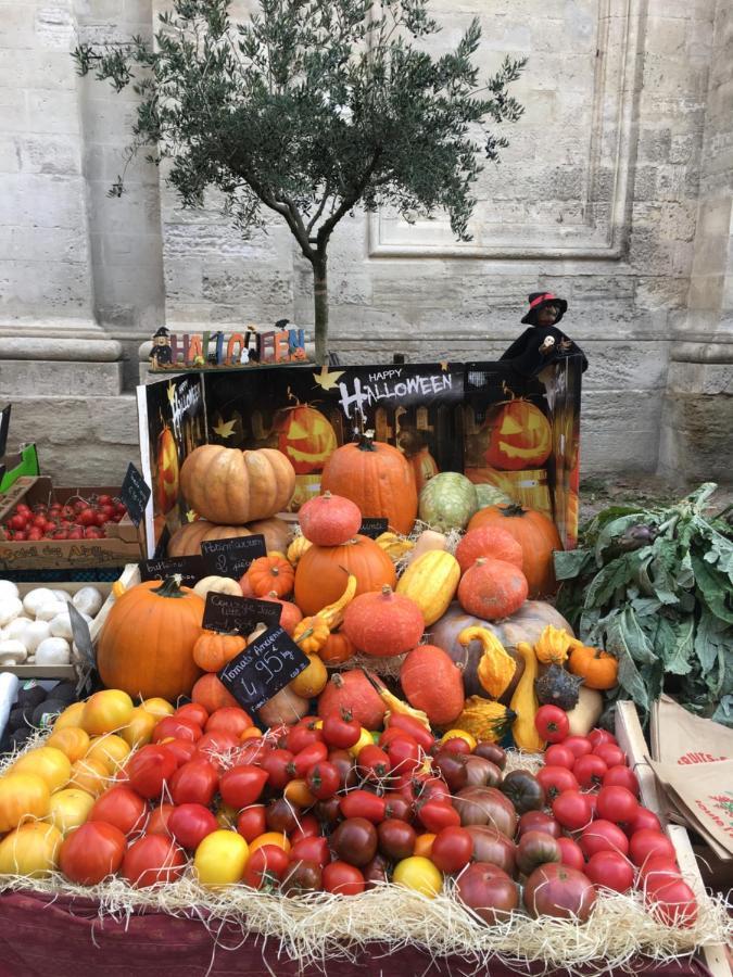 Un Coin De Luberon Διαμέρισμα LʼIsle-sur-la-Sorgue Εξωτερικό φωτογραφία